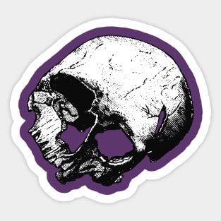 Broken Human Cranium Vintage Illustration Vectorized Sticker